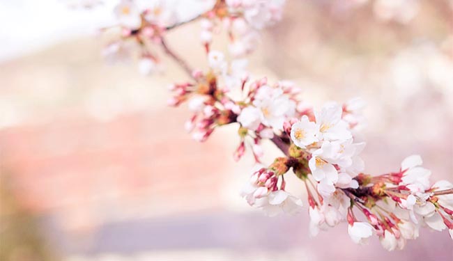 新入社員で転職を意識している人の割合は？・メインイメージ